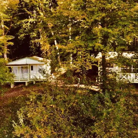 Camping Mobil Avec Terrasse - 4 Pers. - Api-1-52-1590 *